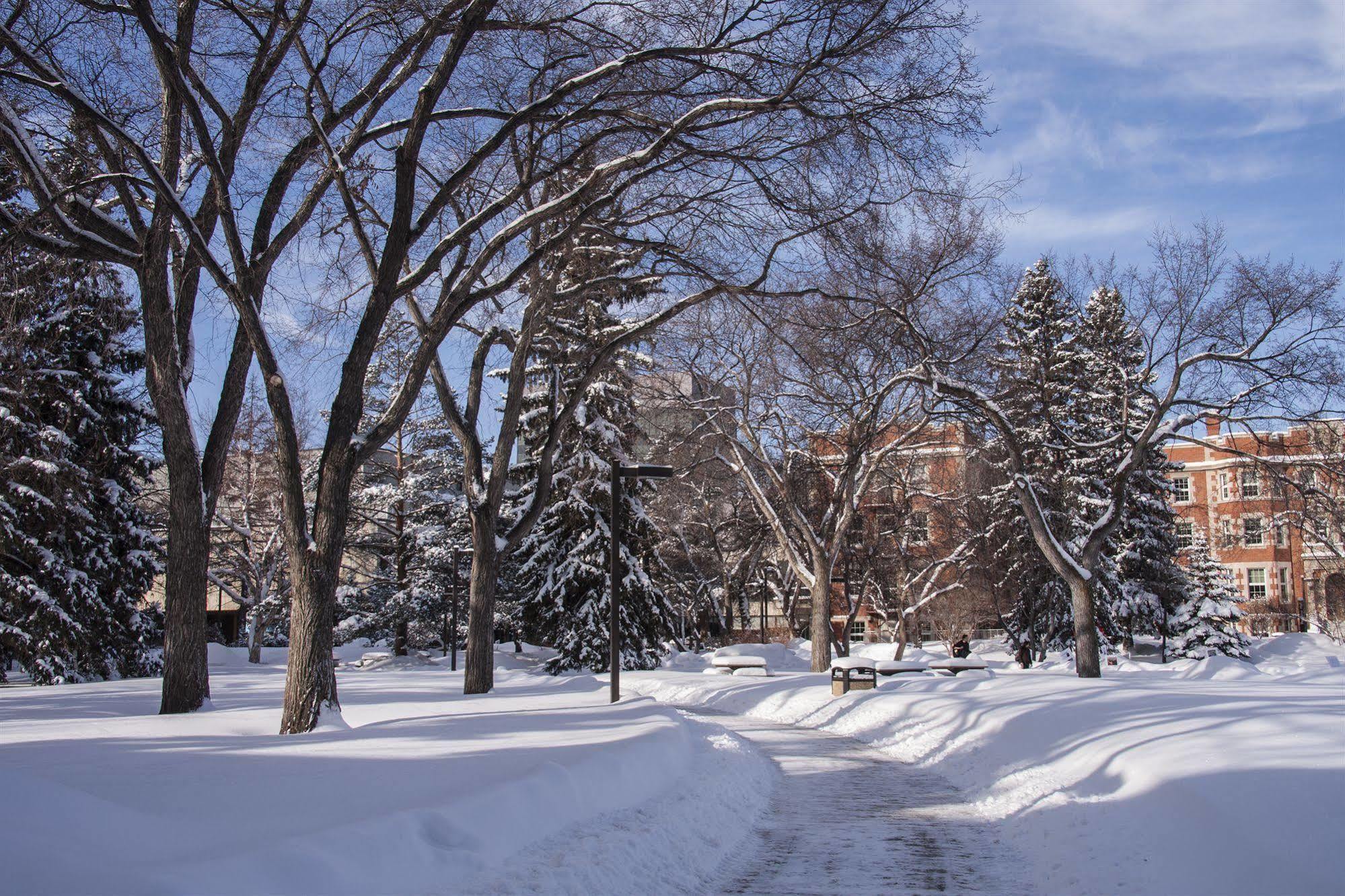 University Of Alberta - Hotel Edmonton Eksteriør bilde